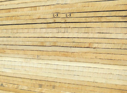 soft maple lumber
